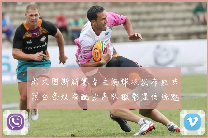 尤文图斯新赛季主场球衣发布经典黑白条纹搭配金色队徽彰显传统魅力